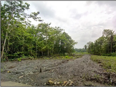 Tanah Murah di Sentolo cocok hunian di kulonrogo, SHM P unit 1 jtan