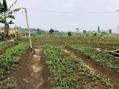 Tanah Siap Bangun Vila, Dekat Area Wisata Kota Batu LM14