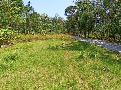 Dekag RS Panti Rapih Kulon Progo, Tanah Tepi Aspal Siap Balik Nama