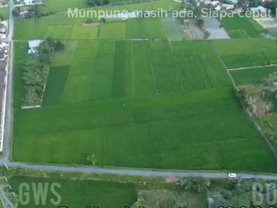 Di jual Tanah 10 Rante di Sumatra Utara Kab Deli Serdang