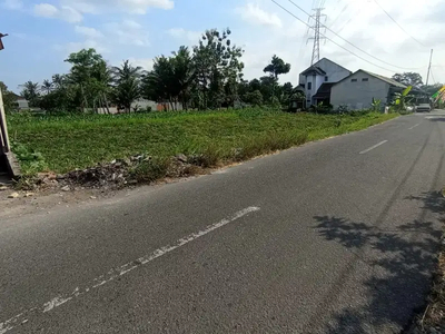 DIJUAL TANAH SAWAH UTARA PASAR SEREN WEDOMARTANI