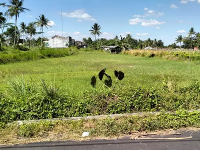 Disewakan tanah cocok untuk villa barat kampus UII terpadu Kaliurang