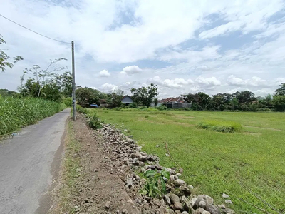 Jual Tanah Murah Jogja: 500 m Jalan Berbah-Prambanan: Legalitas SHM