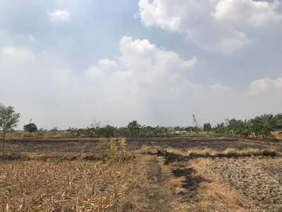 Jual Tanah Sawah Kosong Desa Ngebret Morowudi Gresik bukan Surabaya