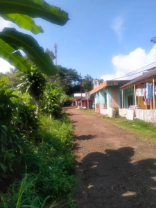 lokasi Buat Villa kayu& kebun duren di cibadak sukabumi