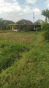 Sawah kering,,cocok untuk kavling /villa daerah pandaan akses trawas