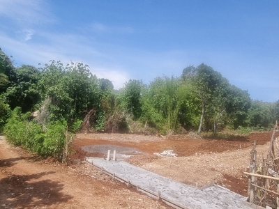 SMALL PLOT FOR LEASE IN THE HEART OF BALANGAN