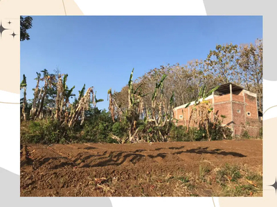 Tanah 2 Jutaan Kota Malang Layak Bangun Hunian, Dekat UMM