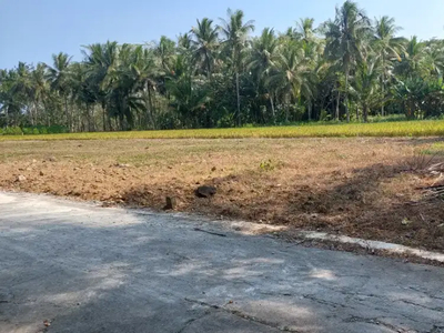 Tanah 900m2 SHMP sangat Istimewa dekat RSUD Wates, cocok untuk Kost