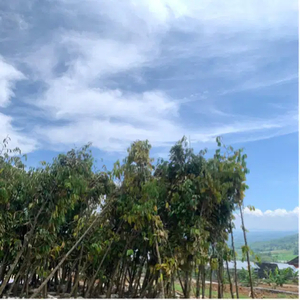 TANAH DEKAT CIBUBUR VIEW PEGUNUNGAN