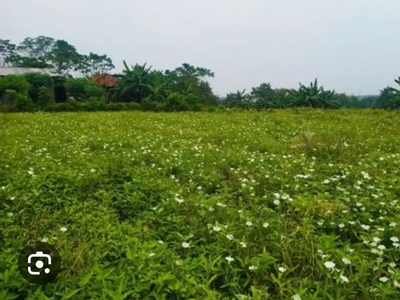 Tanah industri murah di Dawarblandong Mojokerto