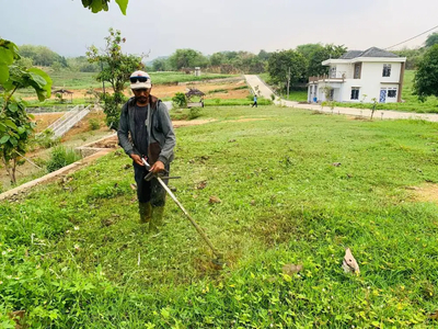 Tanah Kebun Murah dekat Perumahan