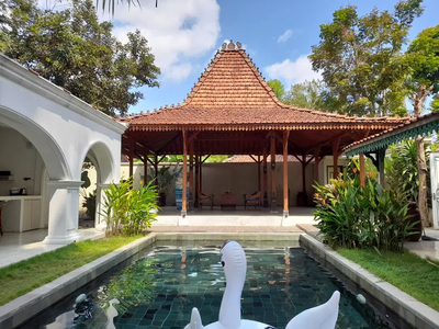 Villa Dijual Kawasan Borobudur, Fasilitas Kolam Renang Dan Joglo