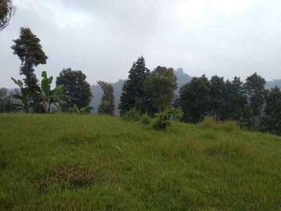 12 Ha Tanah Kebun View Lembah Bukit Sadang Mekar Cisarua Bandung