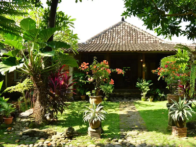 Dijual Rumah Homestay Cantik di Tembi, Sewon, Bantul