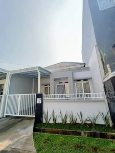 Disewakan rumah palem semi karawaci