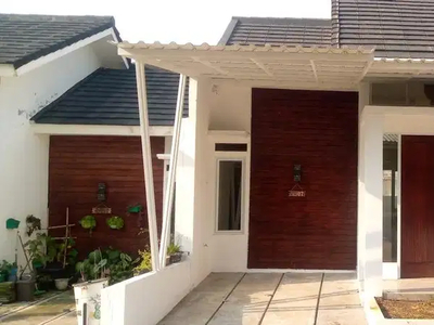 Kontrakan Rumah di Dramaga, Kab. Bogor