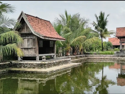 RUMAH ETNIK GAYA JAWA SANGAT ASRI DAN LUAS DI JALAN KALIURANG