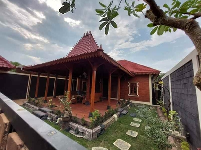 Rumah Mewah Etnik Di Palagan Sleman Bonus Pool Cantik