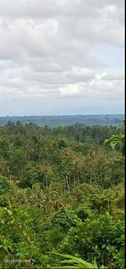 Tanah View Lembah Dan Gunung Di Selemadeg Bali
