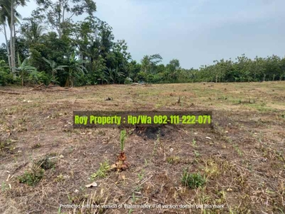 Termurah Dijual Tanah Di Kalianda Lampung Selatan 4 Ha Pinggir Jalan