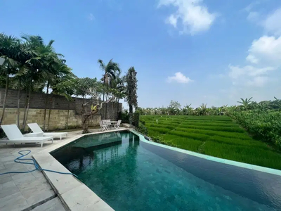 Villa Tropical Paddy View Canggu Bali