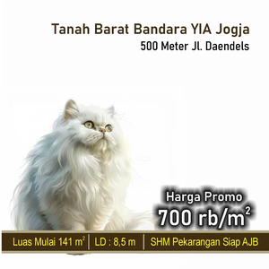 BISA PESAN BANGUN Tanah Purworejo 700rb/m, Barat YIA Jogja