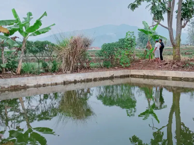 DIJUAL KOLAM IKAN MURAH DAN KEBUN