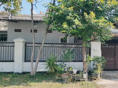 Dijual Rumah Gayung Kebonsari Surabaya RIC.A248