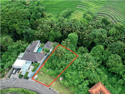 dijual Tanah 9,3 Are Greenlot Sambhada,Munggu JT-2060