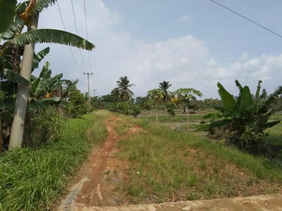 Dijual Tanah luas 43 Hektar Jalan Mata Merah Pusri Palembang