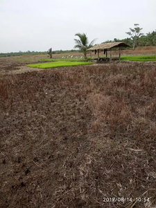 Dijual Tanah Sawah Di Deli Serdang