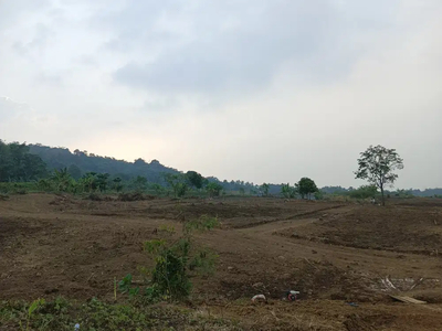 Jual Tanah Murah Pinggir Jalan Di Bogor