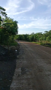 Jual Tanah Pinggir Kota Bogor Perbatasan Banten di Jalan Raya Jasinga