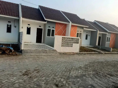 Rumah Murah 1 Jutaan Mojosari