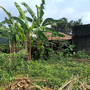 Tanah 5050 m pinggir Jl Pamoyanan Raya, kp Bera Pamoyanan Bogor Selat