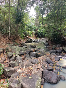 Tanah dekat pantai view sungai dan gunung 50 menit ke Canggu Bali