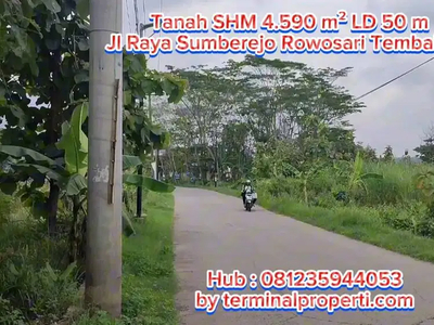 Tanah Murah Hak Milik di Jl Raya Sumberejo Kel Rowosari Kec Tembala
