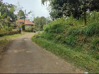 Tanah murah tepi jalan aspal cocok untuk tanam buah buahan