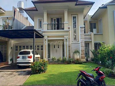 Sutera Olivia 420mtr 8m