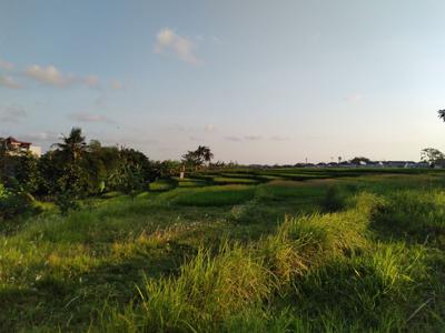 Di Kontrakan Tanah Dengan Rice Terrace View di Utara Canggu