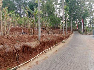 Dijual Tanah Kalisegoro Gunung Pati Dekat Kampus Unnes