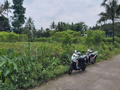 Dijual Tanah Sawah Area Tanjung 2