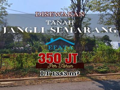 Disewakan Tanah Jangli Semarang