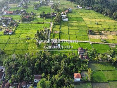 Disewakan Tanah Luas 8 Are View Sawah Kawasan Villa di Ubud