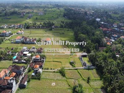 Disewakan Tanah Murah Luas 20 Are View Sawah dan Hutan di Ubud