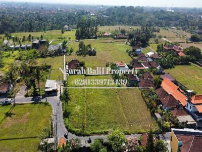 Disewakan Tanah Murah Luas 7 Are View Sawah Kawasan Villa di Ubud