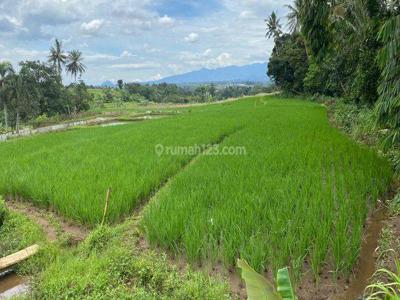 Jual Tanah 10 Hektar Cocok Untuk Pertanian Dan Dibangun Perumahan