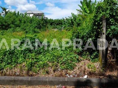 Jual Tanah 313m2 Badak Agung Sumerta Klod Dentim