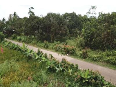 Jual Tanah Di Jalan Mekar Sari Daru, Tigaraksa - Tangerang, Banten